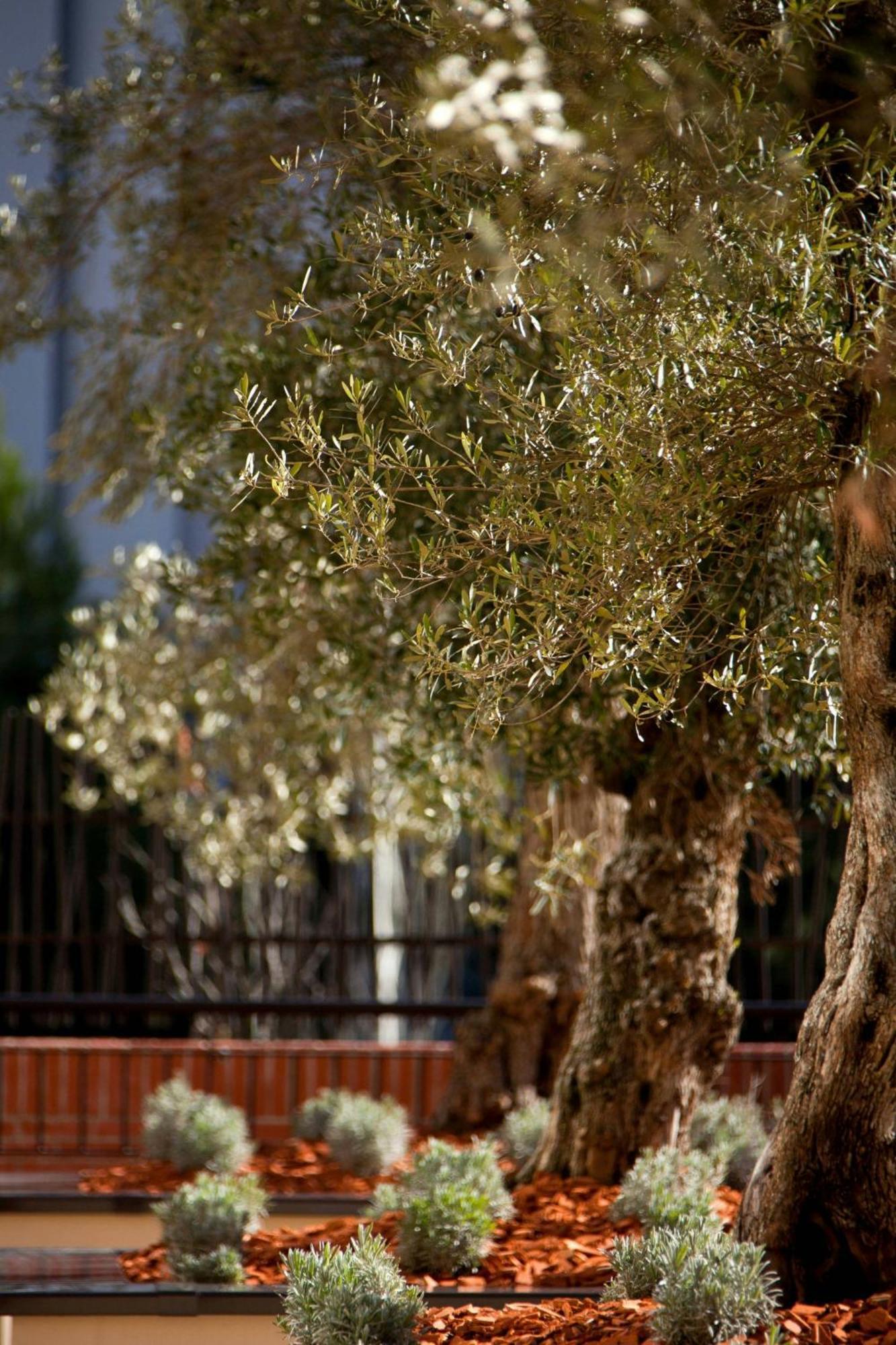 Hotel Renaissance Aix-en-Provence